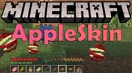 AppleSkin assists players in their hunger and food values (Image via iPodmail/YouTube)